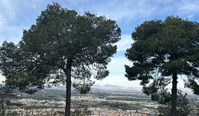 Begagnad - Lägenhet - Ciudad Quesada/Rojales - Ciudad Quesada