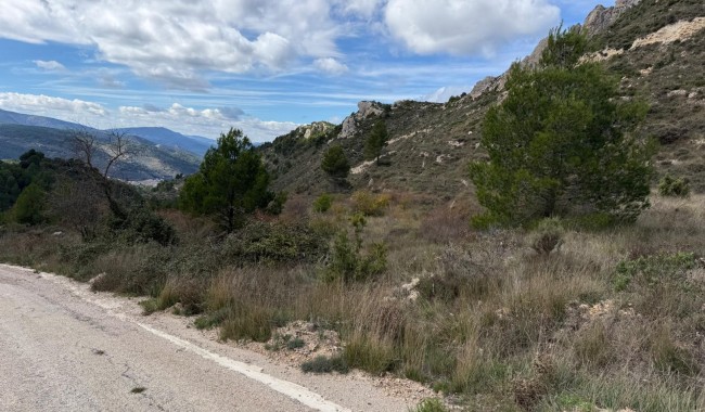 Sprzedaż - Działka - Confrides - Barranc de Xarquera