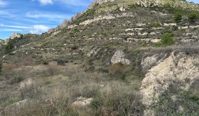 Sprzedaż - Działka - Confrides - Barranc de Xarquera