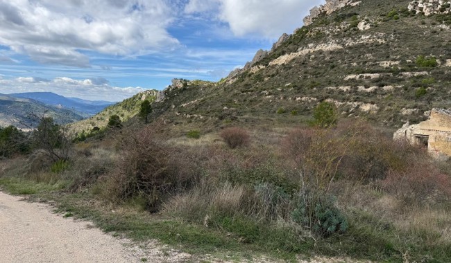 Sprzedaż - Działka - Confrides - Barranc de Xarquera