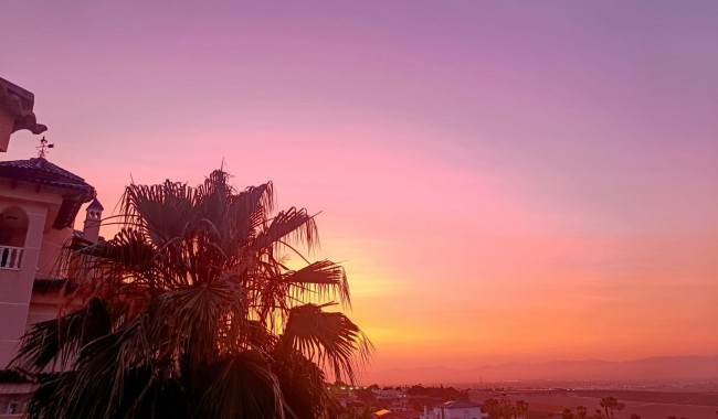 Resale - Villa - Algorfa - Lomas de Juliana