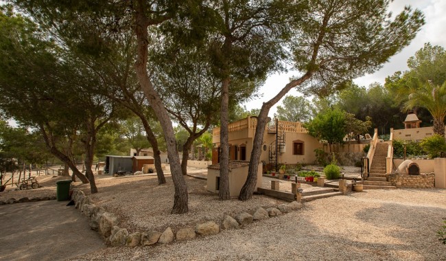 Begagnad - Finca - Torremendo