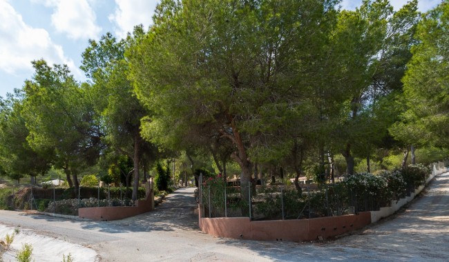 Begagnad - Finca - Torremendo