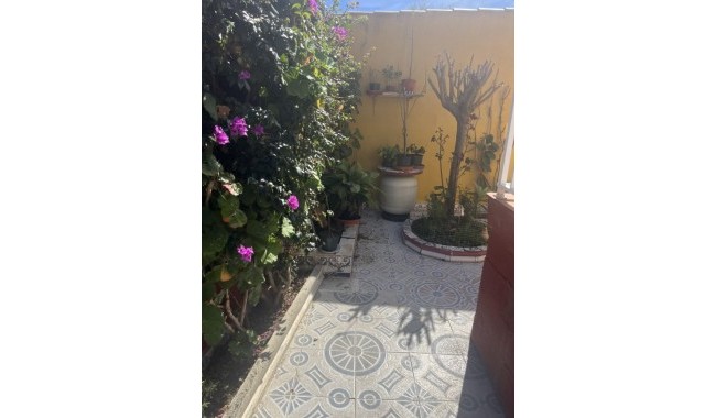 Sprzedaż - Willa - Punta Prima