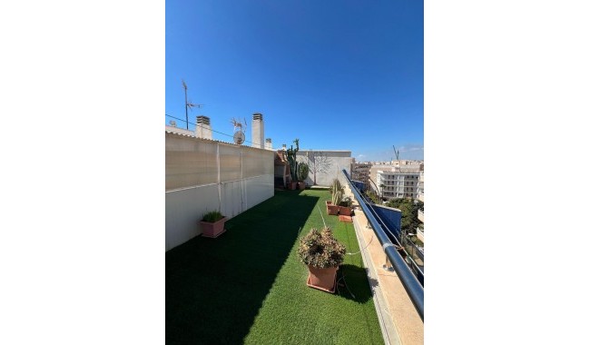 Brukt - Leilighet - Torrevieja - Playa de los locos