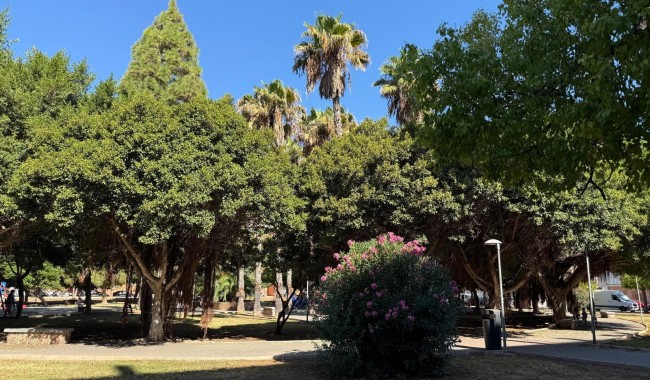 Brukt - Leilighet - Torrevieja - Acequion