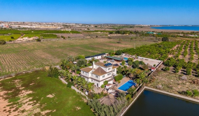 Resale - Finca - Los Montesinos