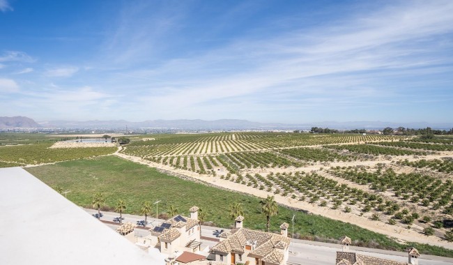 New Build - Villa - Algorfa - La Finca golf