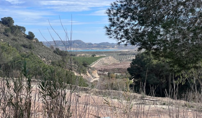 Segunda mano - Finca - Torremendo