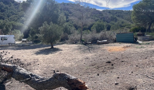 Segunda mano - Finca - Torremendo