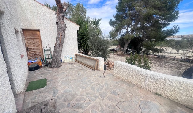 Segunda mano - Finca - Torremendo