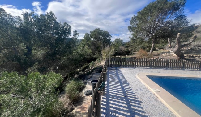 Segunda mano - Finca - Torremendo