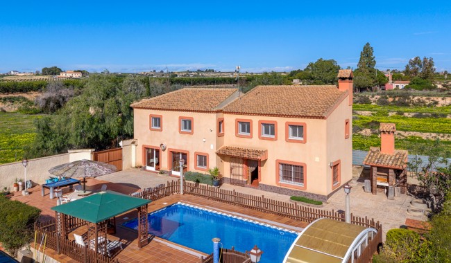 Finca - Resale - Los Montesinos - Los Montesinos