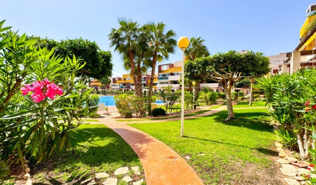 Begagnad - Lägenhet - Playa Flamenca