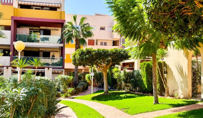 Begagnad - Lägenhet - Playa Flamenca