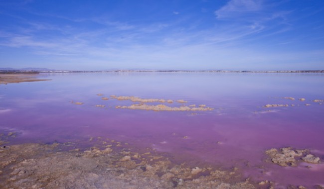 Begagnad - Villa - Torrevieja - Los Altos