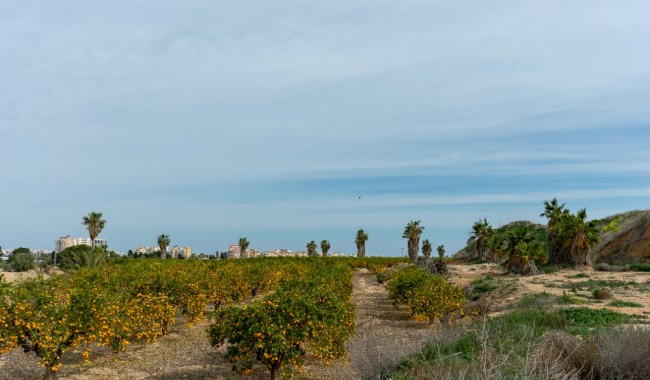 Begagnad - Villa - Torrevieja - Los Altos