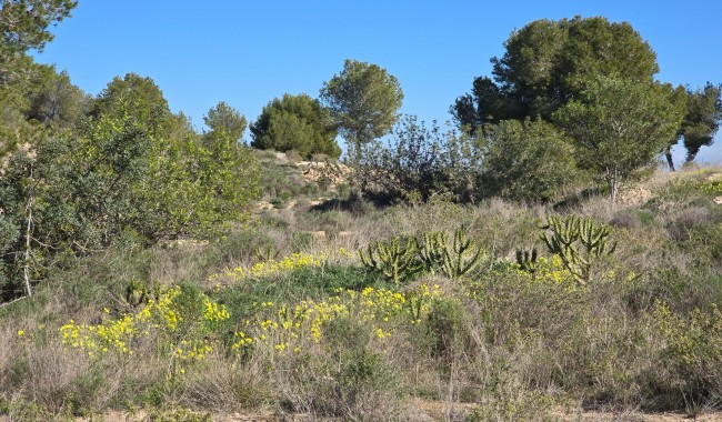 Segunda mano - Apartamento - Orihuela Costa - Villamartín