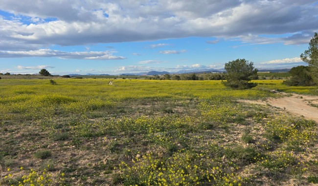 Segunda mano - Apartamento - Orihuela Costa - Villamartín