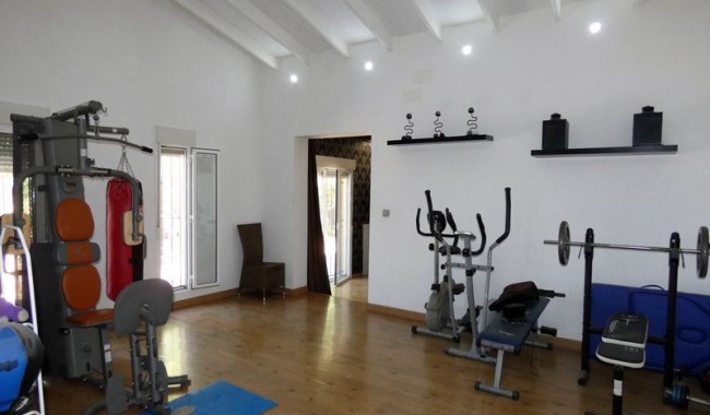 Begagnad - Finca - Orihuela - Orihuela Costa