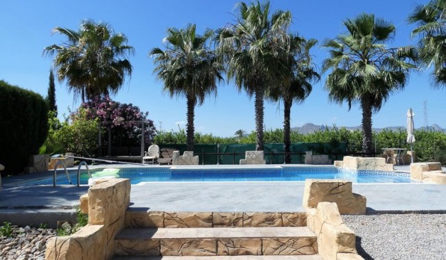 Begagnad - Finca - Orihuela - Orihuela Costa