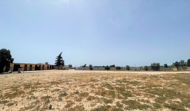 Begagnad - Affärslokaler - Balsicas - Torre Pacheco