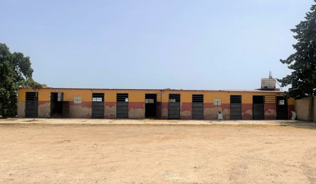 Begagnad - Affärslokaler - Balsicas - Torre Pacheco