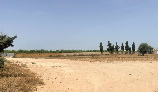 Begagnad - Affärslokaler - Balsicas - Torre Pacheco