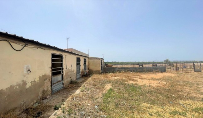 Begagnad - Affärslokaler - Balsicas - Torre Pacheco