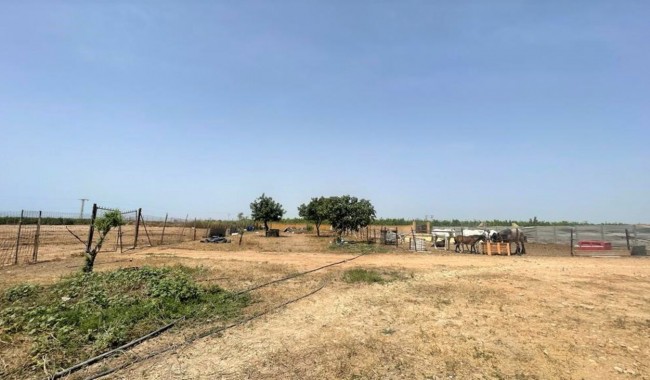 Begagnad - Affärslokaler - Balsicas - Torre Pacheco