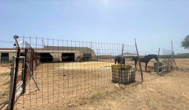 Begagnad - Affärslokaler - Balsicas - Torre Pacheco