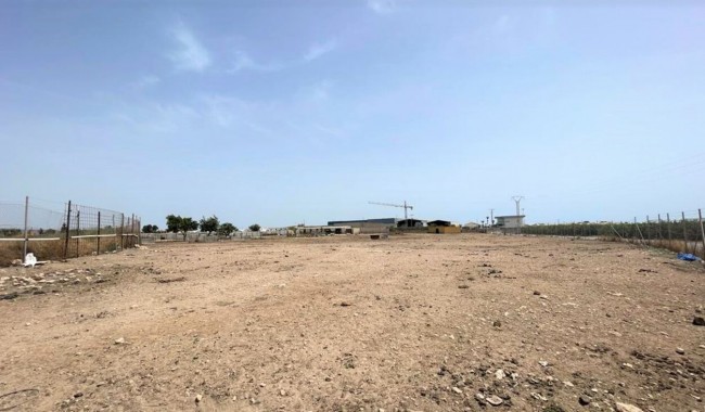Begagnad - Affärslokaler - Balsicas - Torre Pacheco