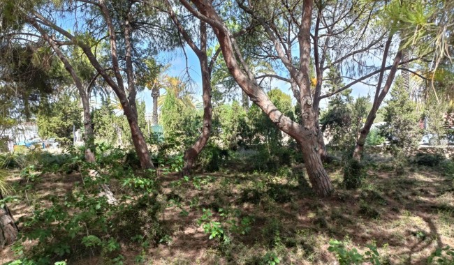 Sprzedaż - Działka - Orihuela Costa - Cabo Roig