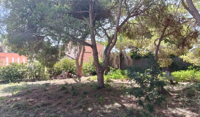 Sprzedaż - Działka - Orihuela Costa - Cabo Roig