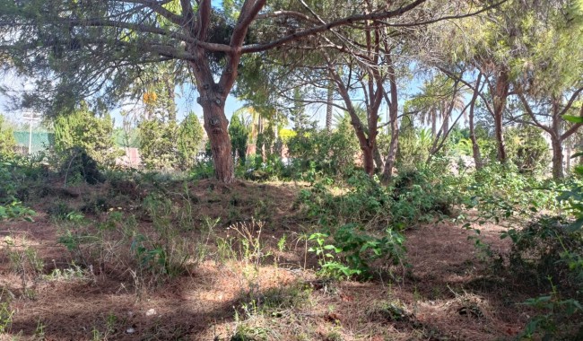 Sprzedaż - Działka - Orihuela Costa - Cabo Roig