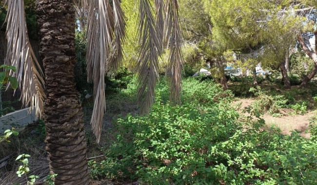 Sprzedaż - Działka - Orihuela Costa - Cabo Roig