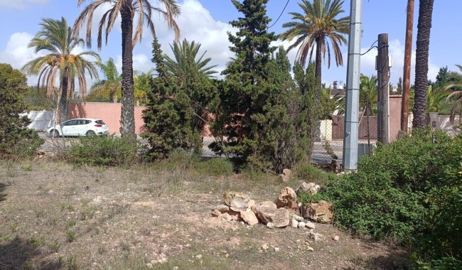 Sprzedaż - Działka - Orihuela Costa - Cabo Roig