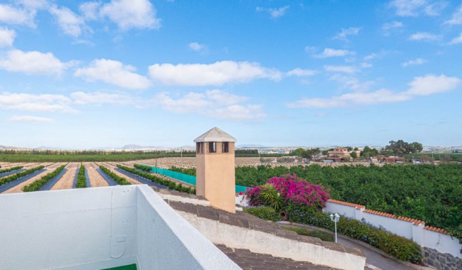 Segunda mano - Villa - San Miguel de Salinas