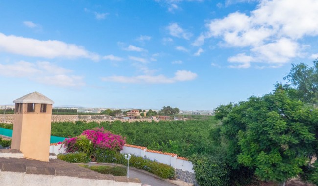 Segunda mano - Villa - San Miguel de Salinas