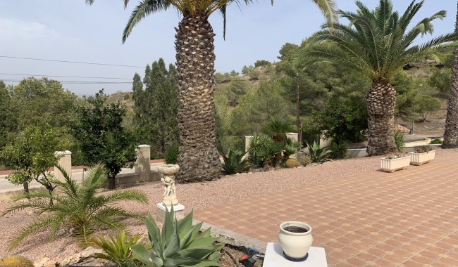 Segunda mano - Villa - Algorfa - Algorfa (montemar)