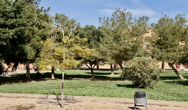 Brukt - Leilighet - Torrevieja