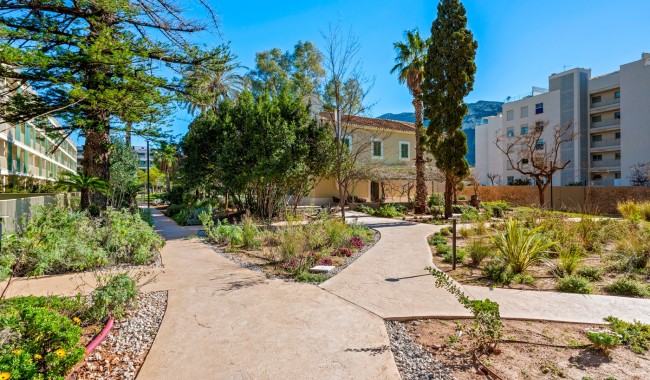 Begagnad - Lägenhet - Denia - Puerto