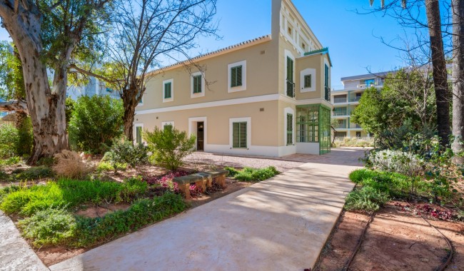 Begagnad - Lägenhet - Denia - Puerto