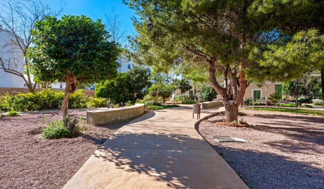 Begagnad - Lägenhet - Denia - Puerto