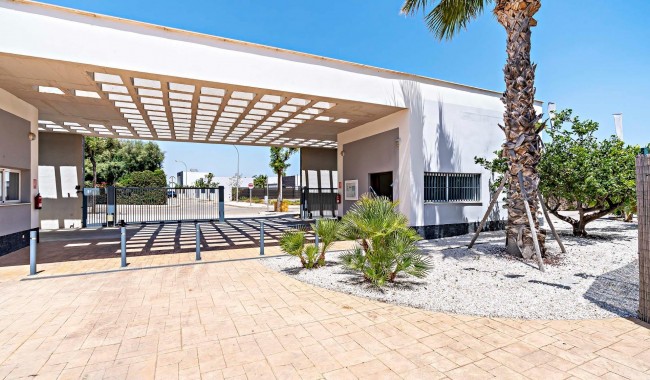 Nueva construcción  - Apartamento - Vera - El Playazo