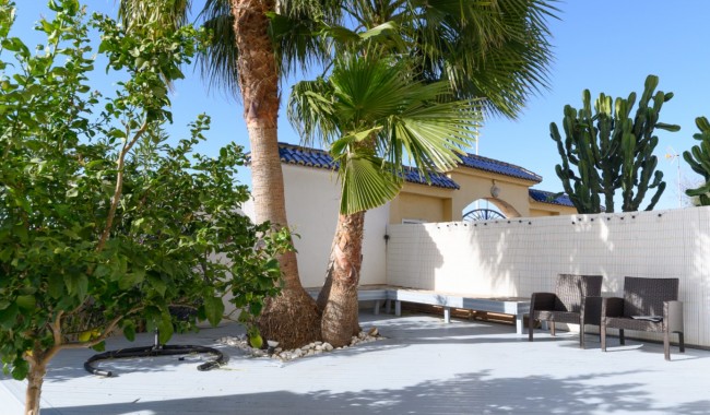 Begagnad - Lägenhet - Torrevieja - La Mata