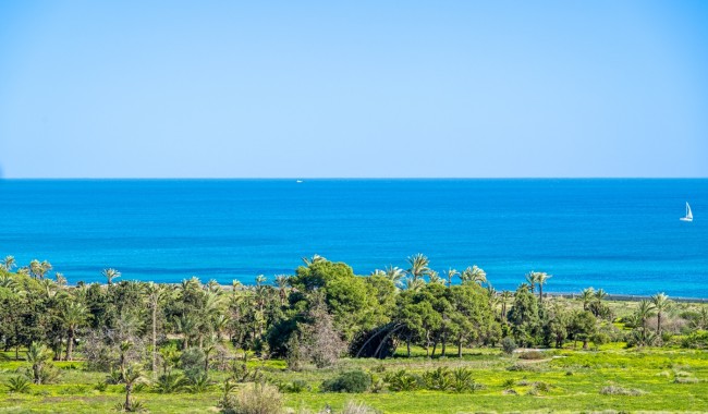 Begagnad - Lägenhet - Orihuela Costa - Punta Prima
