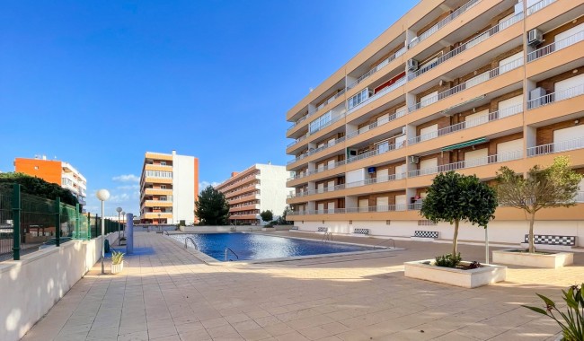 Begagnad - Lägenhet - Orihuela Costa - Punta Prima