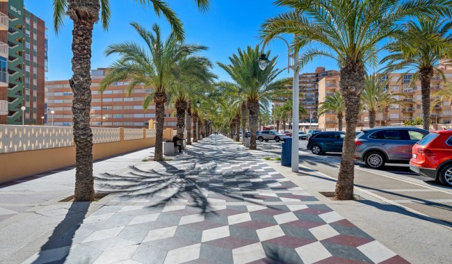 Segunda mano - Apartamento - Arenales del Sol - Segunda linea playa