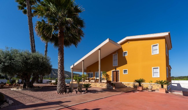 Resale - Finca - Orihuela - Orihuela Costa